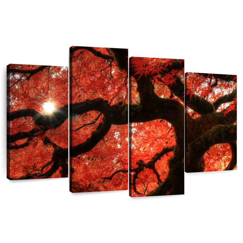 Harnek Red Maple Tree, 42'' H x 68'' W