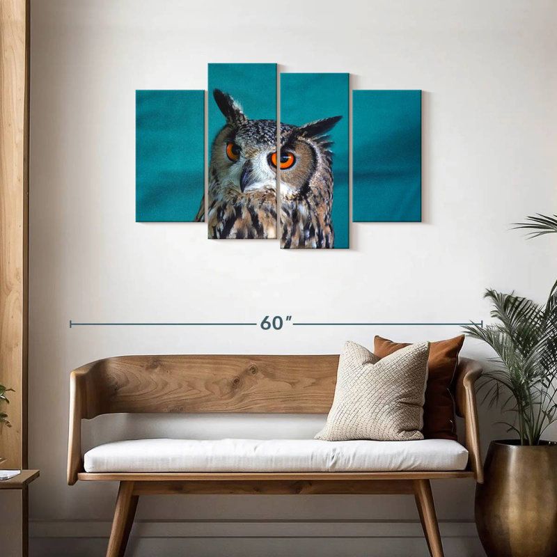 Hibou charmant de Brampt
