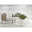 Coquille Coffee Table