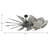 Springer 60'' Ceiling Fan