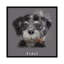 « fidel cubain native », impression sur toile-32584337-72148767-72148768