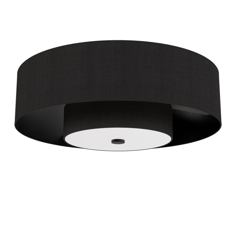 Jasmine Roth x Hunter 30 inch Brookside Fandelier Ceiling Fan with Lights and Remote, Matte Black