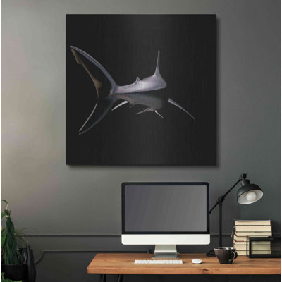 " Jaws " by Luxe Metal Portfolio