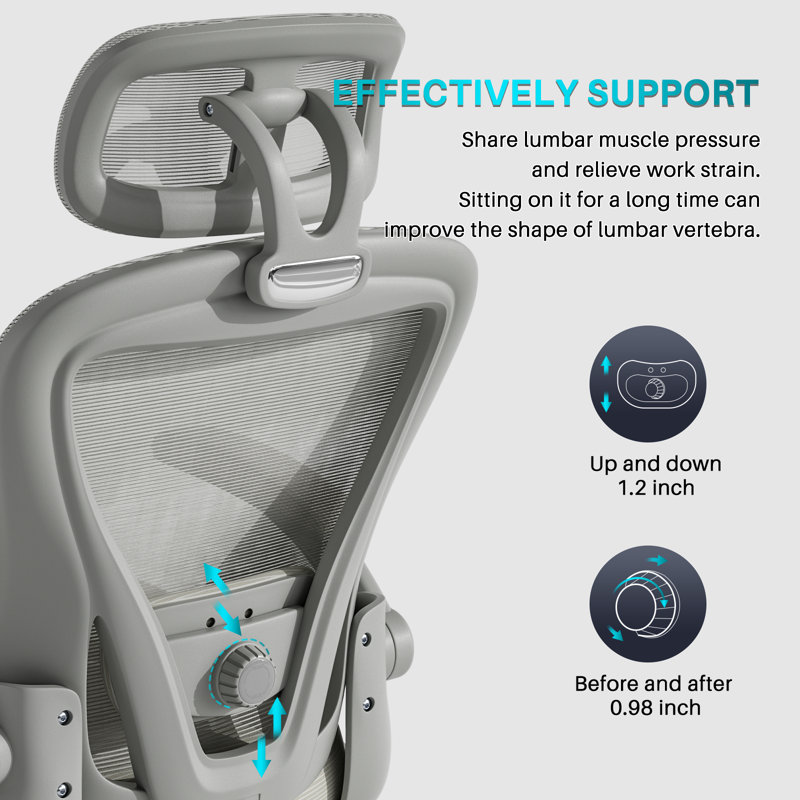 Gelbert Ergonomic Mesh Office Chair Task Chair with Headrest, Home Office Desk Chair, Gray