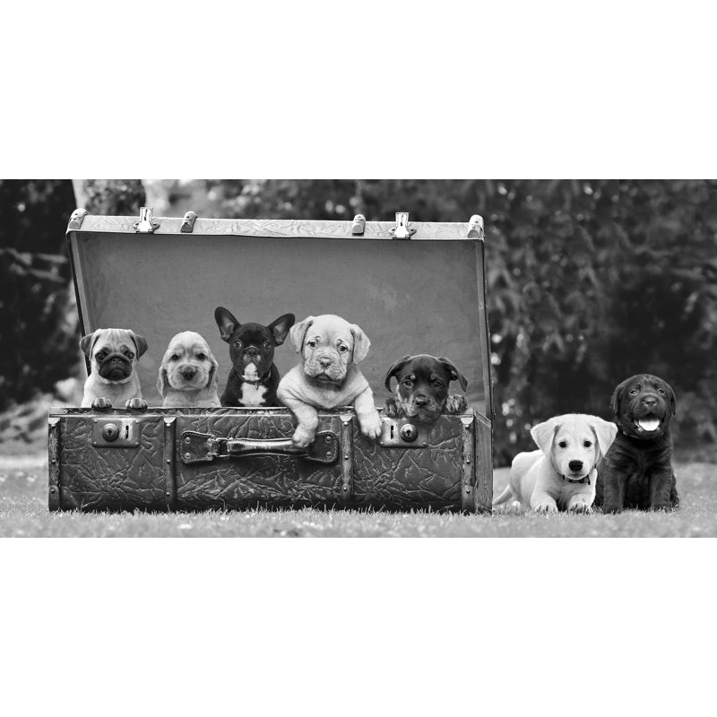 2AP6149 Puppies in the Suitcase 1 Piece Wrapped Canvas Wall Art, 35cm H x 70cm W x 4cm D