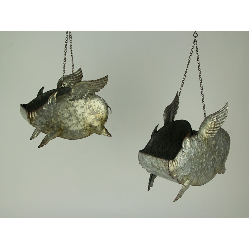 Ensemble de 2 pots à fleurs suspendus Ballymena