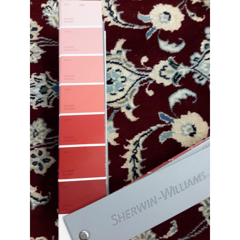 Orietto Oriental Area Rug in Red