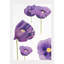 Purple Poppies On Snow Print-1745371273