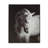 Arc Modern & Contemporary Painting Print