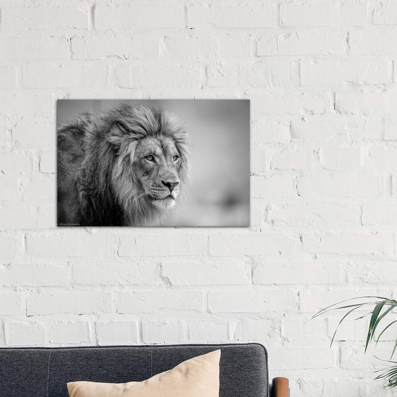 His Majesty.... by Jeffrey C. Sink - Wrapped Canvas Print, 66.04 cm H x 45.72 cm W x 1.91 cm D