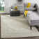Stromsburg Oriental Area Rug