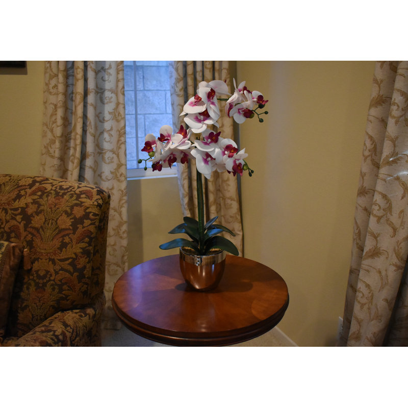 Arrangement orchidée véritable dans un vase argent métallique, White/Purple