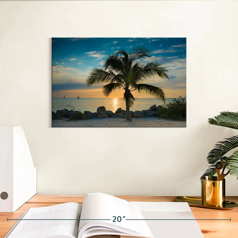 Palmier Gillard Key West, H 8 po x l 12 po