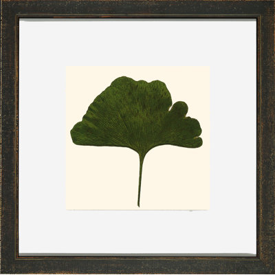 Small Pressed Leaves II Print
