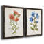 «Botanical I», ensemble de 2 reproductions d'art-271774482-271774463-271774443