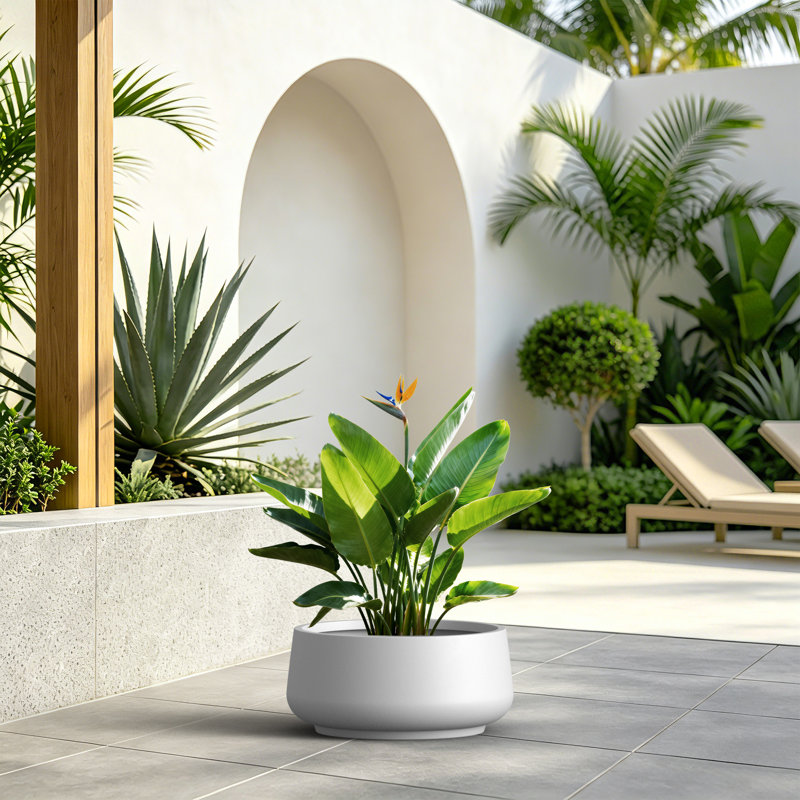 16 Inch Bowl Concrete Planter, Weather-Resistant for Patio & Garden Decor, Bright White, Set of 1, Bright White