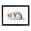 The Resting Cat by Jean Bernard - Picture Frame Drawing Print-55640210-55640211