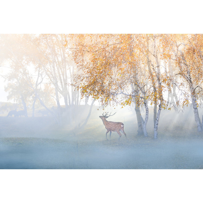 Wrapped Canvas Print