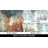 Acord Performance Abstract Rug-1663557971