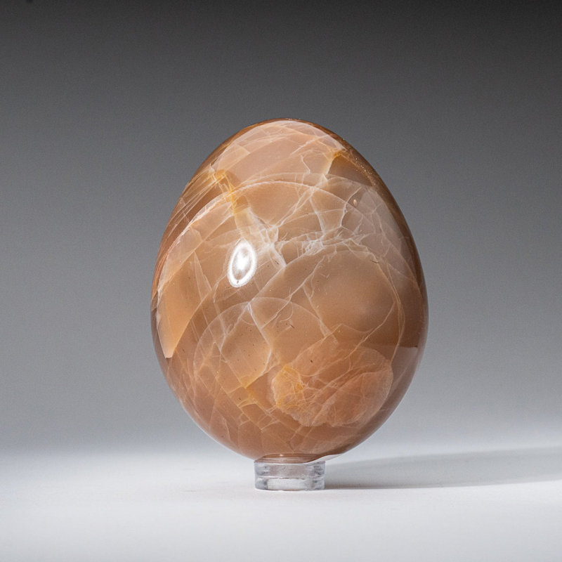 Genuine Polished Peach Moonstone (2.5") Egg from Madagascar