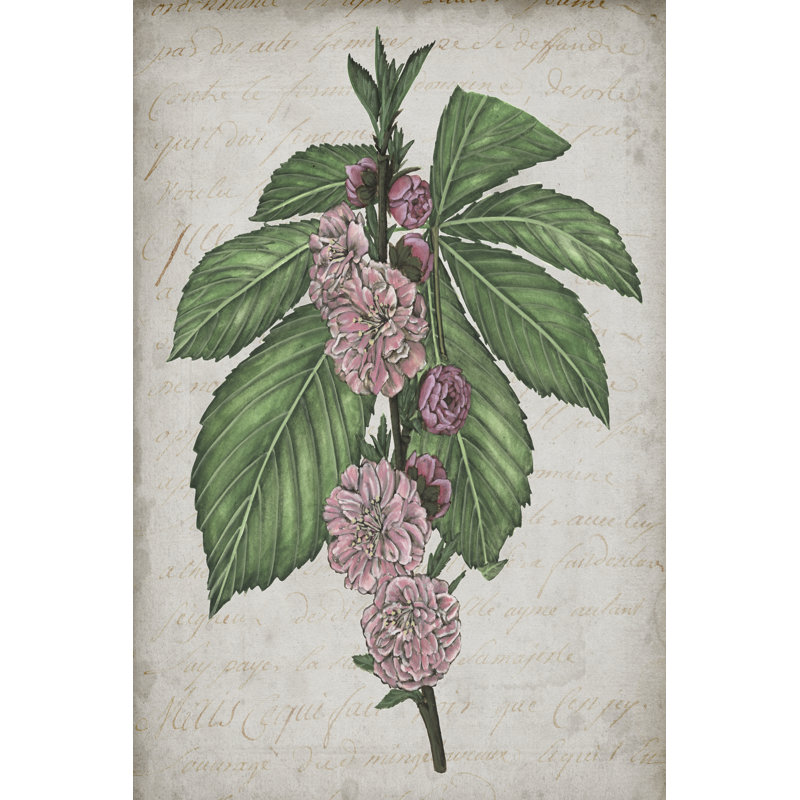 Floral Memory II by Melissa Wang - Wrapped Canvas Art Prints, 46cm H x 30cm W