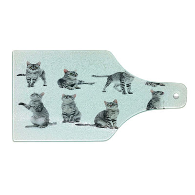 Ambesonne Cat Tempered Glass Cutting Board Photos of a Tabby Kitten Print White Pale Grey