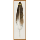 Feather 2 Print by Thom Filicia