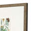 Botanique antique I S / 3