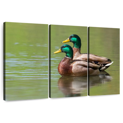 Brampt Mallard Duck Couple