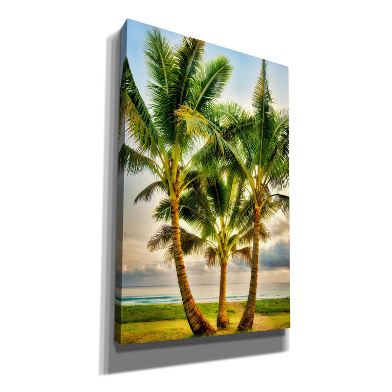 «Triple Palm» par Dennis Frates - reproduction de photo sur toile tendue, H 40 po x l 26 po x P 1,5 po