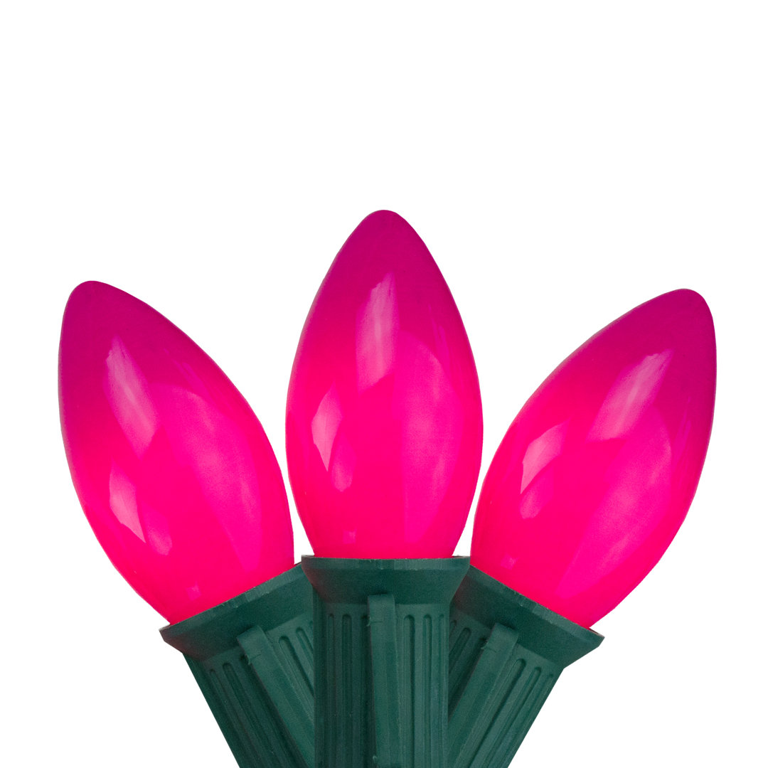 25-Count C9 Christmas Light Set 25ft Green Wire The Holiday Aisle® 