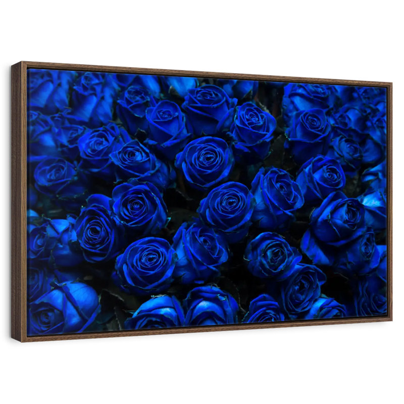 Roses bleues royales, 46 po x 31 po, Cadre flottant noyer
