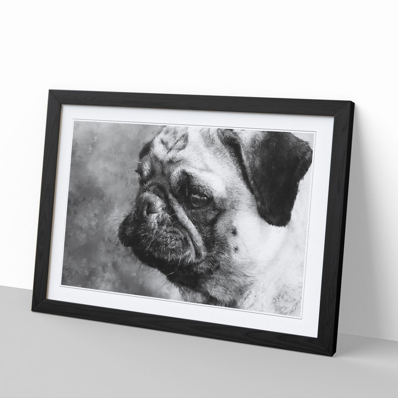 Pug Dog - Framed Print, 48cm H x 65cm W x 2cm D, Black Framed