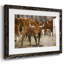 Longhorns-162033396-162033358