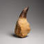 Genuine Mosasaur Tooth With Root (163.5 Grams)