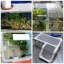 4 pièces Aquarium Divider Tray Egg Grid-779380777