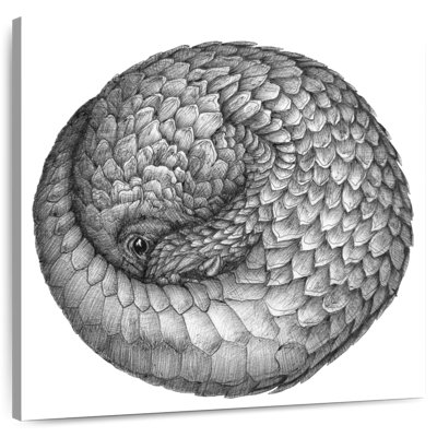 Boule de pangolin Brampt