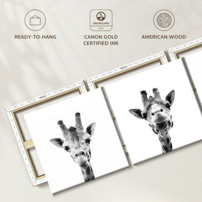 «Three Silly Giraffes», reproduction d'art sur toile