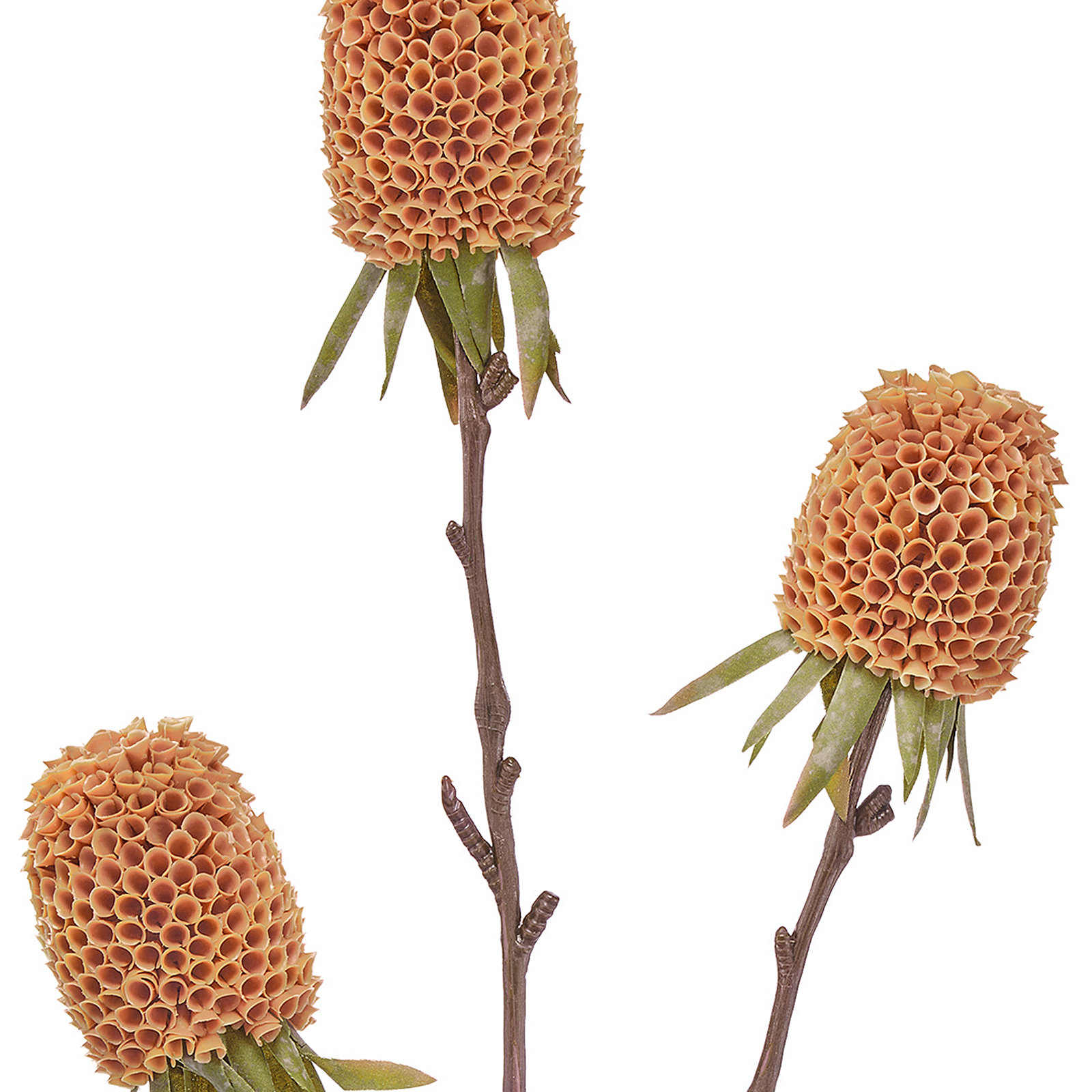 29" Autumn Thistle X3, Coral