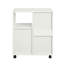 Gut 60cm Wide 2 -Drawer Mobile File Cabinet