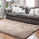 Indoor Rug