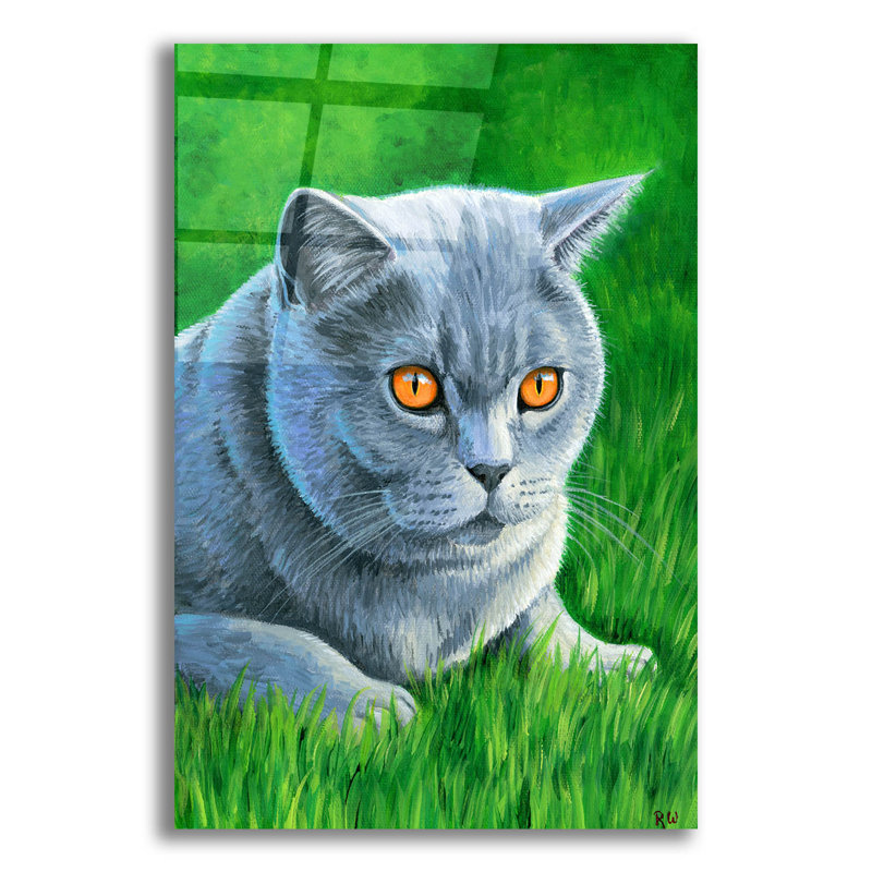 «Grey British Shorthair Cat» par Rebecca Wang, art mural en verre acrylique, H 24 po x l 16 po x P 0,2 po