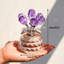 Halpin Arrangement-1214245284