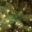 90' H Lighted Artificial Fir Christmas Tree