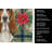 Tricolor and White Basset Hound Christmas PoinsettIas Kitchen Towel-2080584177