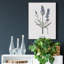 Lavande - impression sur toile tendue-580787129