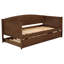 Lit de jour simple avec couchette Fallbrook, 81 po x 42 po x 37 po, bois, 1 pièce, lit de jour, noyer moyen, silhouette dos de chameau