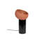 Zahra Powder-Coated Iron Torchiere Lamp-100074035