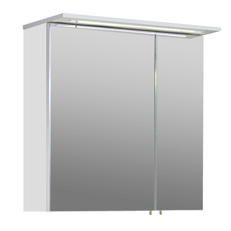 Profil 600mm W 723mm H Surface Medicine Cabinet Mirror 2 Adjustable