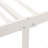 Singraul Metal Open-Frame Bed-2102500271-2047599310